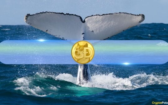 Dogecoin Whales Signal Bullish Sentiment, Stack Up 200 Million DOGE