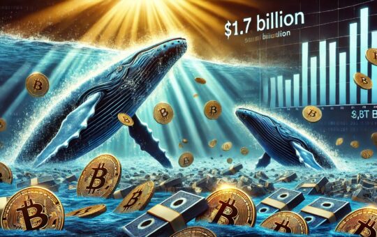 Bitcoin Whale