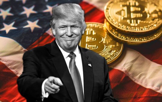 Trump emboldens support from Republican voters with pro-crypto stance, survey finds