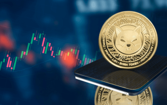 Shiba Inu Rival Flashing Buy Singal that Triggered the SHIB Price 2021 8,000% Bull Run, Analyst Finds