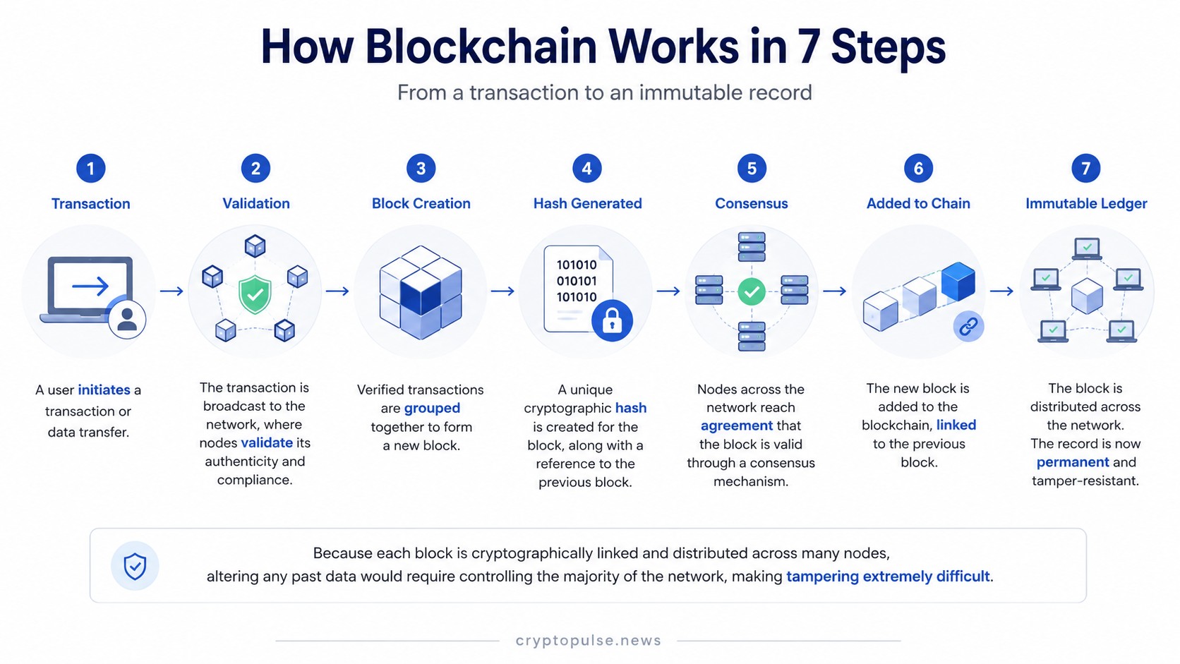 Blockchain infographic showing the 7-step process from transaction validation to an immutable distributed ledger