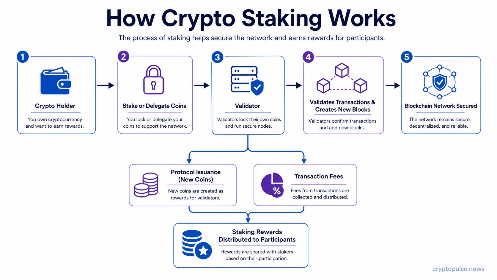 Flowchart showing how crypto staking works, from staking coins and validator operations to blockchain security and rewards distribution.